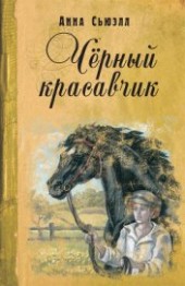 Книга "Черный Красавчик, автор Сьюэлл Анна - BooksFinder.ru