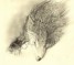 Книга "Лесной царь (СИ)" - BooksFinder.ru
