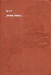 Книга "Мир животных. Домашние животные, автор Акимушкин Игорь Иванович - BooksFinder.ru