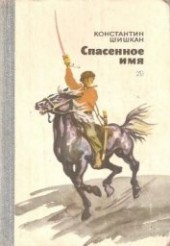 Книга "Спасенное имя, автор Шишкан Константин Борисович - BooksFinder.ru