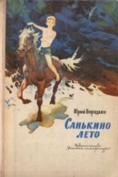Книга "Санькино лето, автор Бородкин Юрий Серафимович - BooksFinder.ru