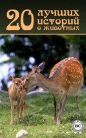 Книга "20 лучших историй о животных, автор Коллектив авторов - BooksFinder.ru