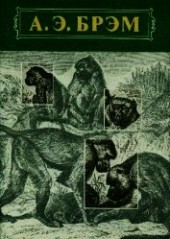 Книга "Жизнь животных Том I Млекопитающие, автор Брем Альфред Эдмунд - BooksFinder.ru