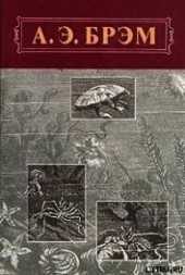 Книга "Жизнь животных, Том III, Пресмыкающиеся. Земноводные. Рыбы, автор Брем Альфред Эдмунд - BooksFinder.ru