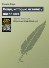 Книга "Вещи, которые остались после них, автор Стивен Кинг - BooksFinder.ru