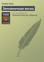 Книга "Земляничная весна, автор Стивен Кинг - BooksFinder.ru