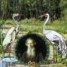 Книга "Сказки в аудиоспектаклях" - BooksFinder.ru
