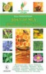 Книга "Доктор мед. Здоровье и красота из улья" - BooksFinder.ru