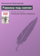 Книга "Равнина под снегом, автор Константин Паустовский - BooksFinder.ru