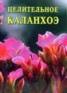 Книга "Целительное каланхоэ" - BooksFinder.ru