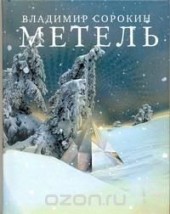 Книга "Метель, автор Владимир Сорокин - BooksFinder.ru