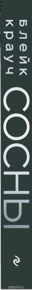 Книга "Сосны. Город в Нигде" - BooksFinder.ru