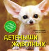 Книга "Детеныши животных, автор Эндрю Блэйман - BooksFinder.ru