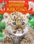 Книга "Детеныши животных" - BooksFinder.ru