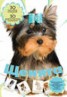Книга "Щенята" - BooksFinder.ru
