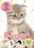 Книга "Котята" - BooksFinder.ru