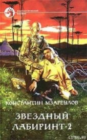 Книга "Звездный лабиринт – 2, автор Мзареулов Константин - BooksFinder.ru